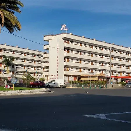 Camelias Ci15 Διαμέρισμα Πλάγια ντελ Ινγκλές
